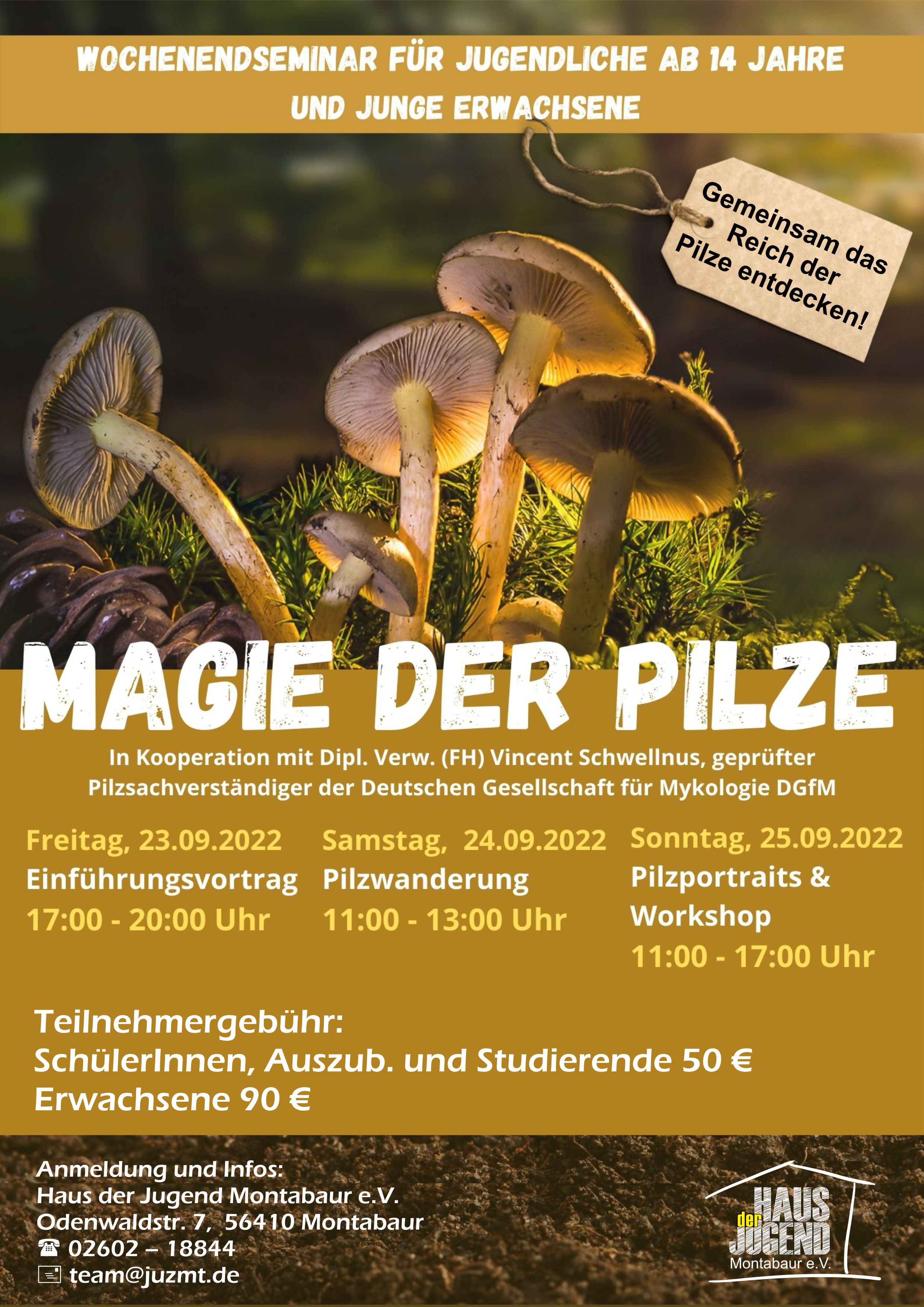 Magie der Pilze